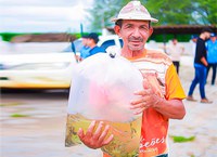 Peixamento em Alagoas: 120 mil alevinos são distribuídos pelo DNOCS no Açude Minador do Negrão