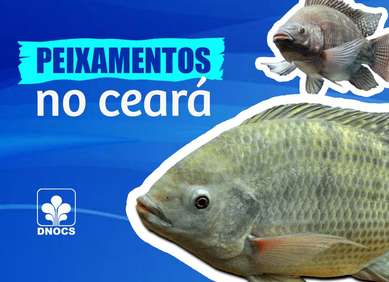 Peixamentos.jpg