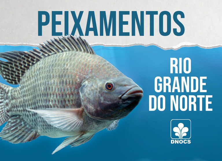 Imagem do WhatsApp de 2025-01-17 à(s) 09.24.37_9fa9f58a.jpg