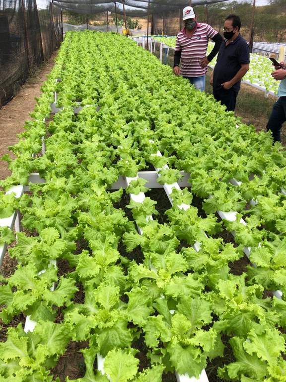 388528c8-229c-4827-9e4f-98d1c424271c.jfif