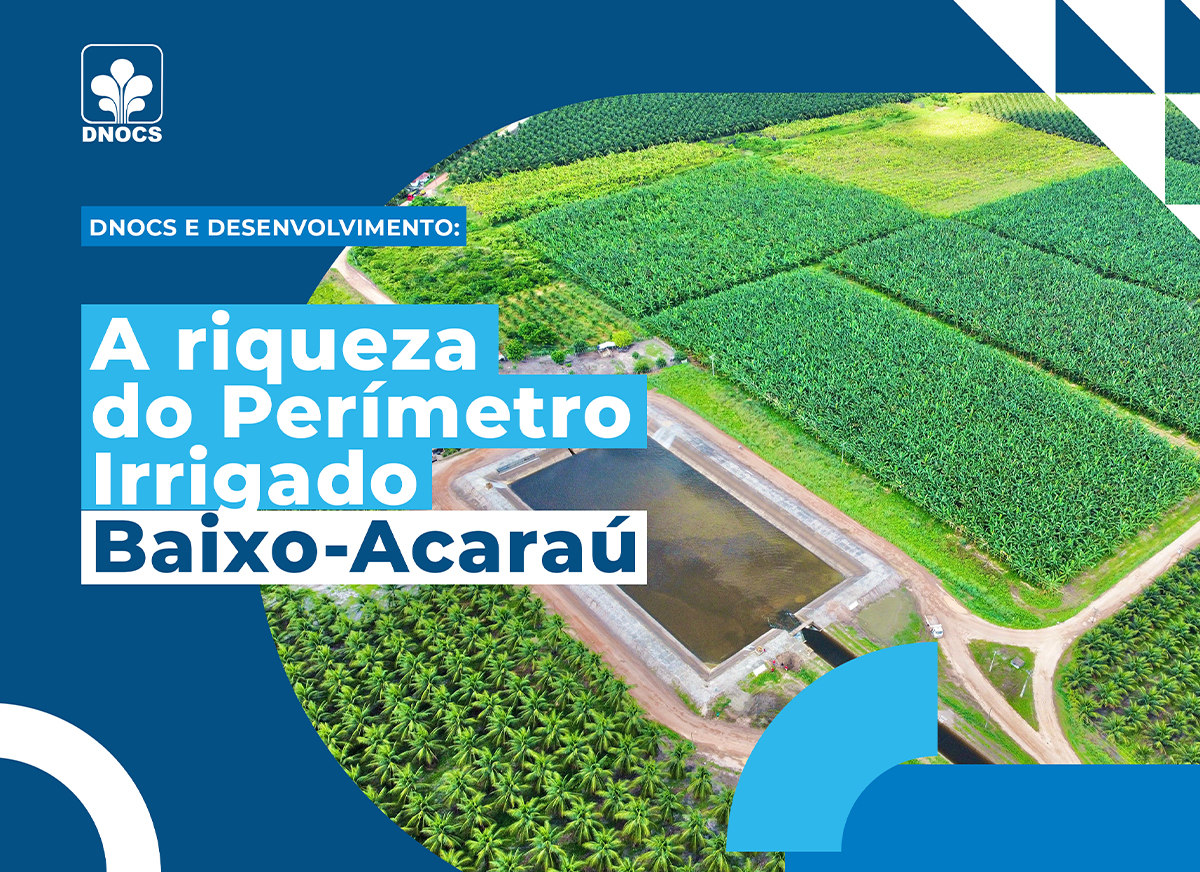 Perímetro Irrigado do Baixo- Acaraú investe na fruticultura