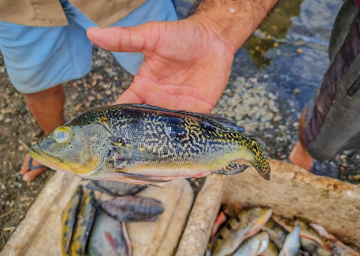 Pesca Artesanal Castanhão 02.jpg