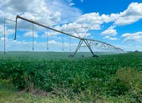 Projetos Públicos de Irrigação são destaques na produção cearense