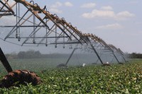 Quadra Chuvosa incrementa Perímetros Irrigados