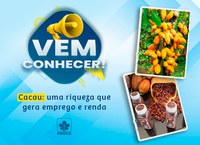 Vem Conhecer uma riqueza consumida há mais de 5 mil anos