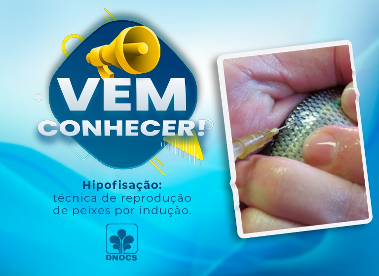 Banner-Site.jpg