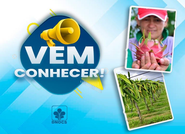 Banner-Site.jpg