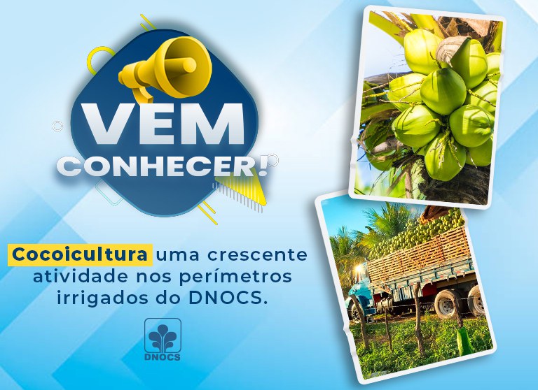 Banner-Site-cocoicultura.jpg