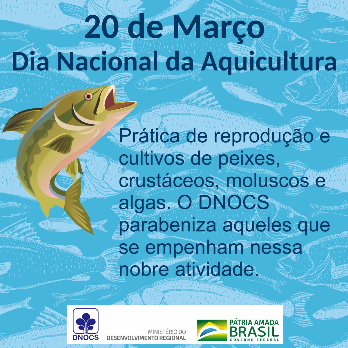dia_da_aquicultura.png