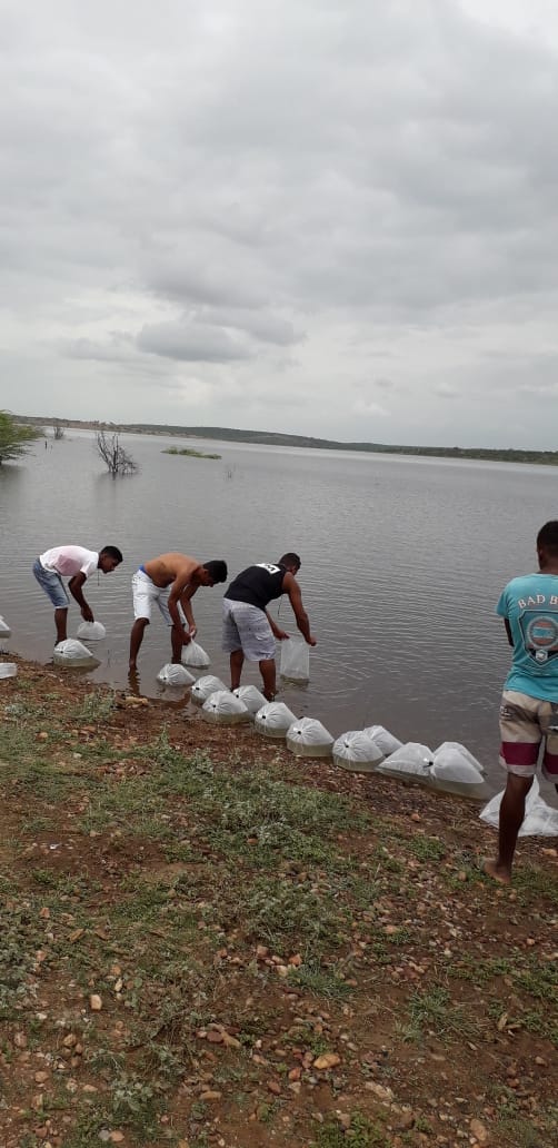 img 20181226 wa0078 copy copy