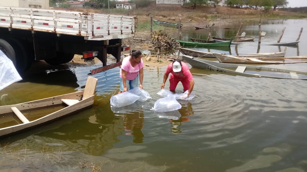 peixamento1 copy copy