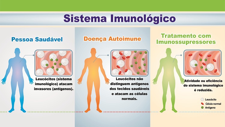 Sabia que o seu sistema imunológico é a sua primeira linha de