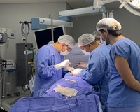 Mutirão “Dia E” do último sábado (13) realizou mais de 3 mil atendimentos no HC-UFG, reduzindo filas do SUS