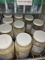 Agosto Dourado: HC-UFG destaca a importância do aleitamento materno e da doação de leite