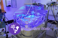 Semana da Prematuridade 2025 mobiliza profissionais e famílias no HC-UFPE