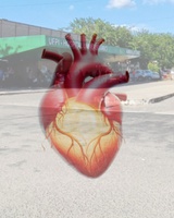 HU-UFPI realiza sua primeira captação de coração