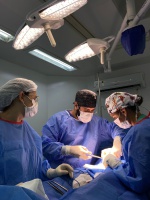 Dia E no HU-Univasf : 199 atendimentos especializados foram ofertados nesse sábado (13)