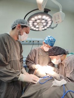 HU-UFJF vai ofertar mais de 1 mil atendimentos adicionais no próximo sábado (13)