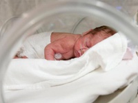 A força dos pequenos: como o cuidado multiprofissional transforma vidas na prematuridade