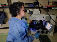 Laboratório no HUAP-UFF é referência em pesquisas para diagnóstico especializado de doenças dos rins