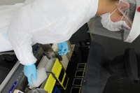 Luísa Dias da Mota: paixão e compromisso no diagnóstico clínico do Ladi