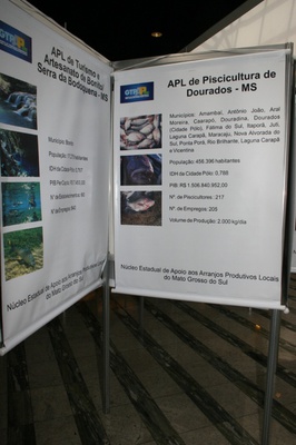 IMG_1662.JPG