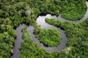 ForbesESG-Amazonia-250621-LeoFFreitasGettyImages-1024x683.jpg