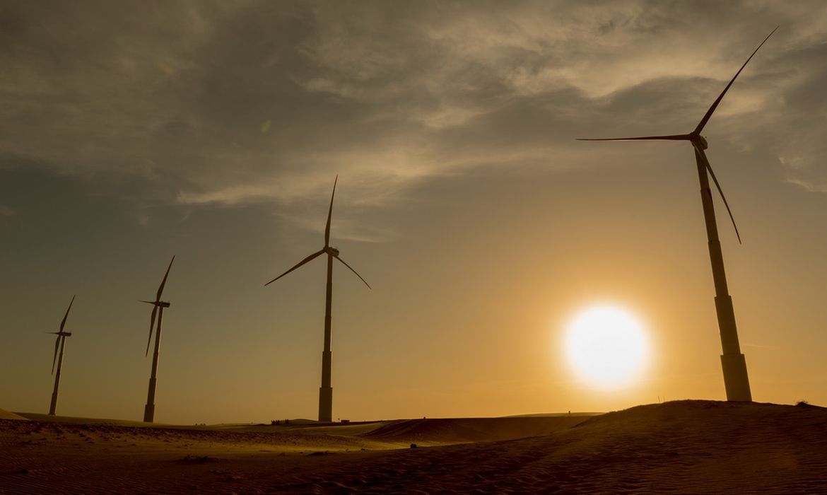 Wind energy on the Northeast Brazilian coast and the