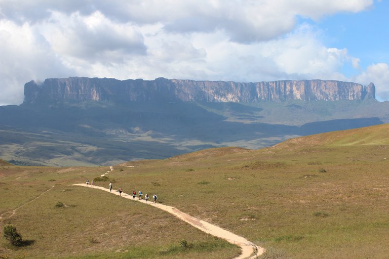 FSAs05DX0AU5tbn.jfif