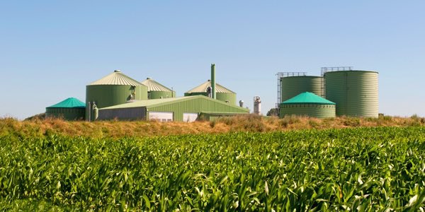 FQ0X5iHXoAU07Zq.jfif