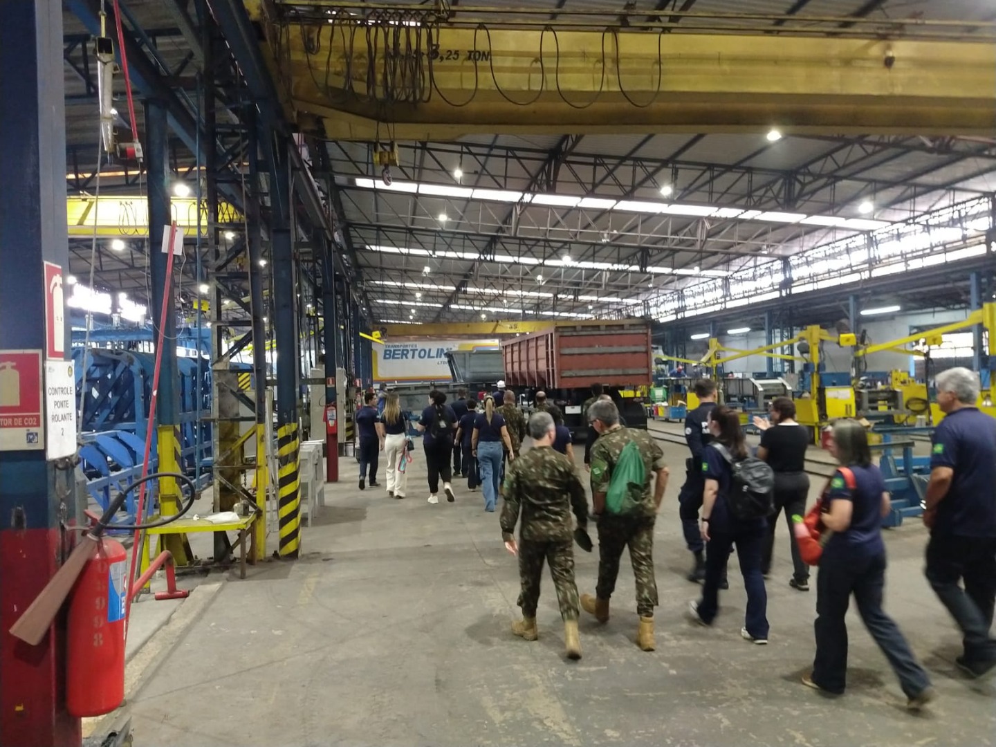 4 Bertolini BAL 2.jpeg