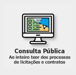 Consulta Pública