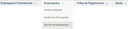 informeIRmenu.png