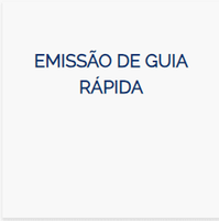 Guia Rapida.png