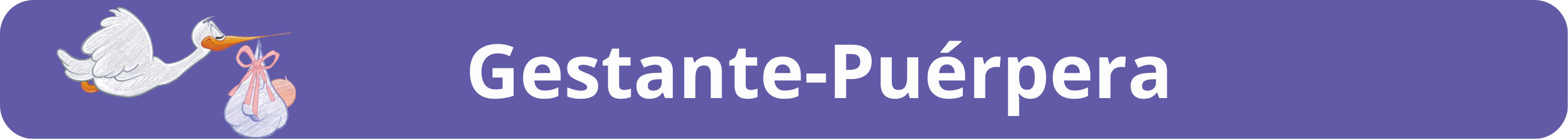 gestante puerpério