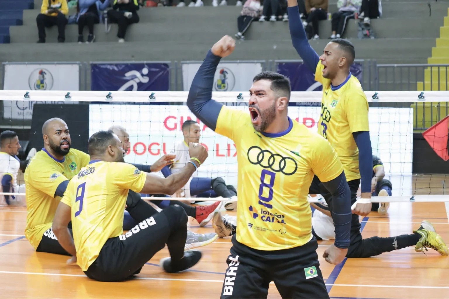 Foto Thaís Mendes Divulgação.jpg