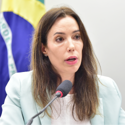 Subsecretária de Monitoramento Macroeconômico e Políticas de Comércio no Ministério da Fazenda - Julia de Medeiros Braga