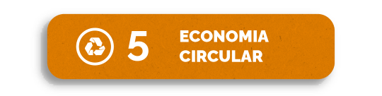 Economia Circular