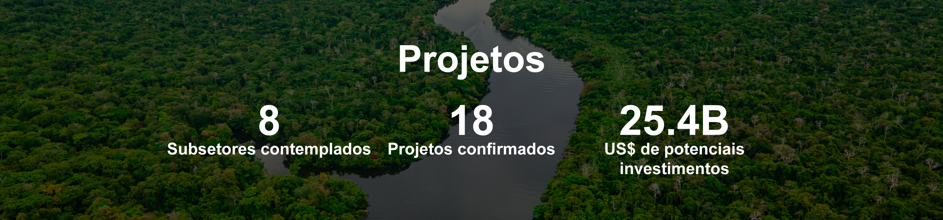 Projetos