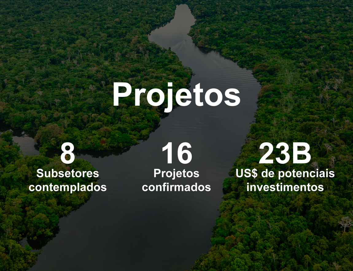 Banner Projetos BIP fundo floresta e rio