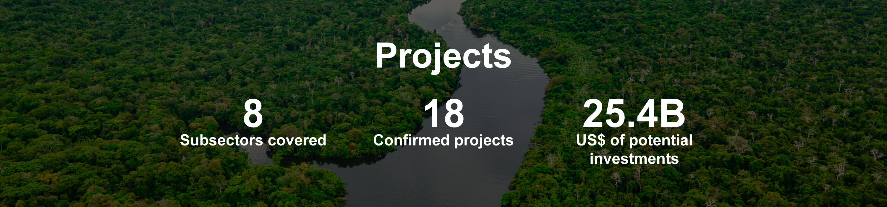 Projects