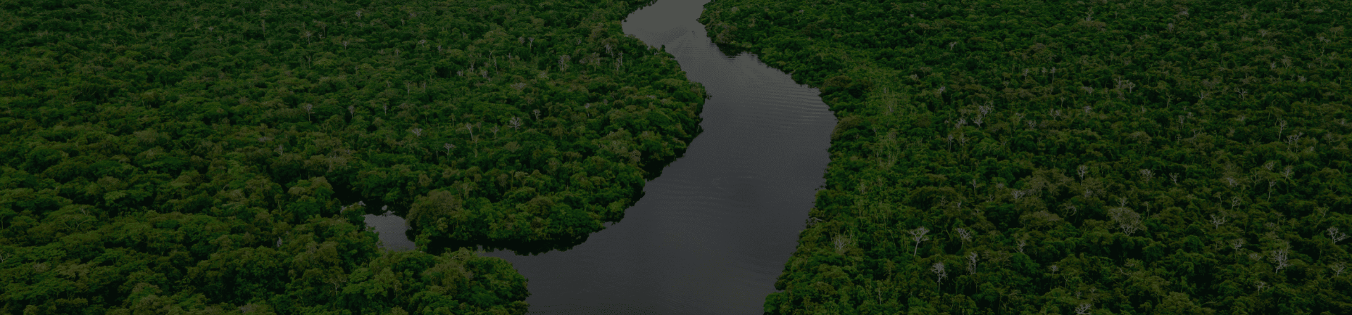 Banner de projetos