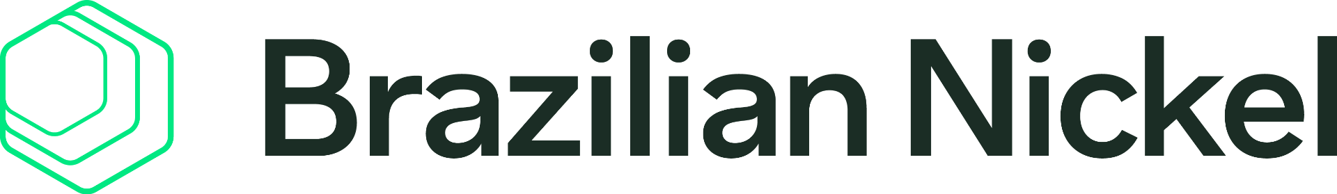 Logo Brazilian Nickel