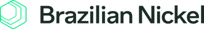 Logo Brazilian Nickel.png
