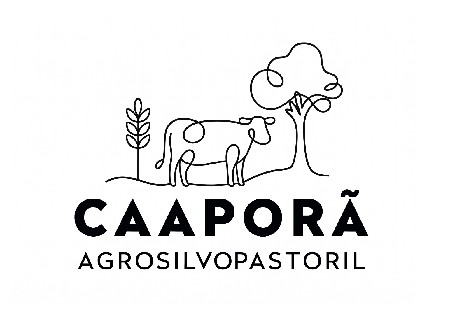 Logo Caapora