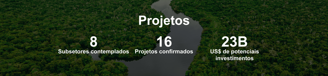 Projetos