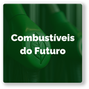Botão Programa_Combustiveis F_PT.png