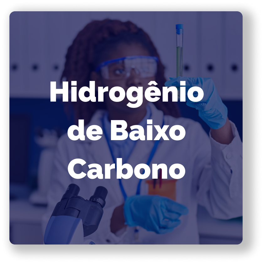 Botão Programa_Hidrogênio B C_PT.png