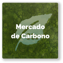 Botão Programa_M Carbono_PT.png