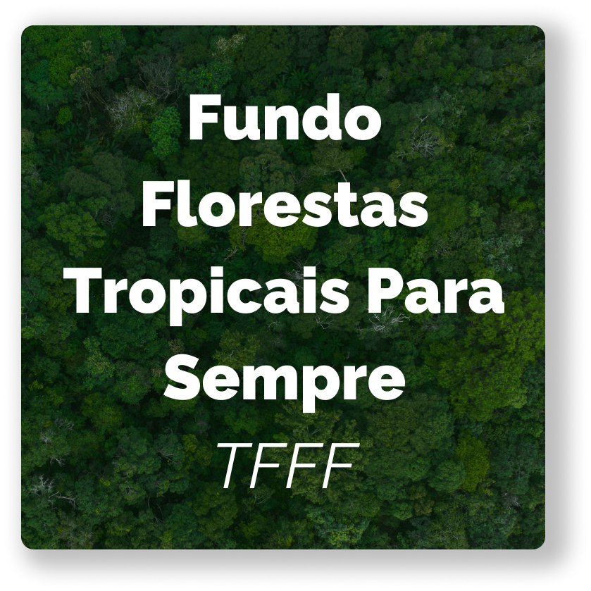 Botão Programa_TFFF_PT-1.png
